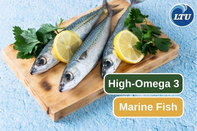 Unveiling the High Omega-3 Fish of the Ocean
